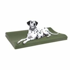 Alsa-brand Gesundheitsbett "Orthopädia"