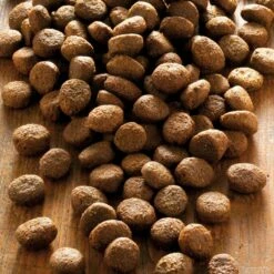 Alsa-nature Sensigon Ente & Kartoffel Getreidefrei