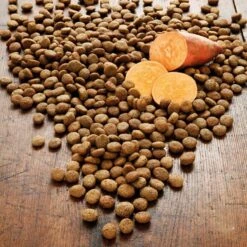 Alsa-nature Ente & Süßkartoffel Getreidefrei