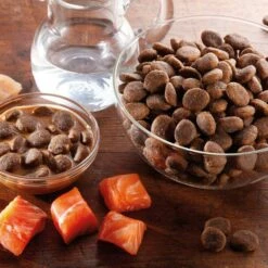 Alsa-nature Lachs-Soßenmenü