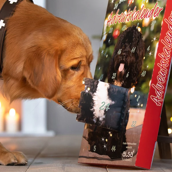 Alsa-nature Adventskalender Getreidefrei - Image 3