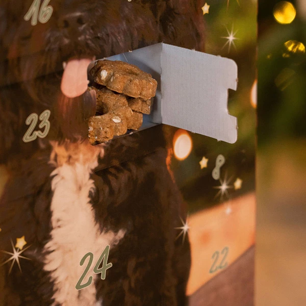 Alsa-nature Adventskalender Getreidefrei - Image 4