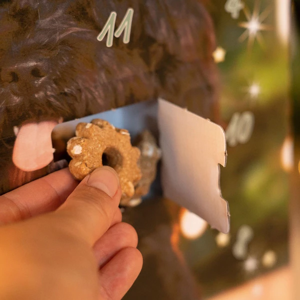 Alsa-nature Adventskalender Getreidefrei - Image 5