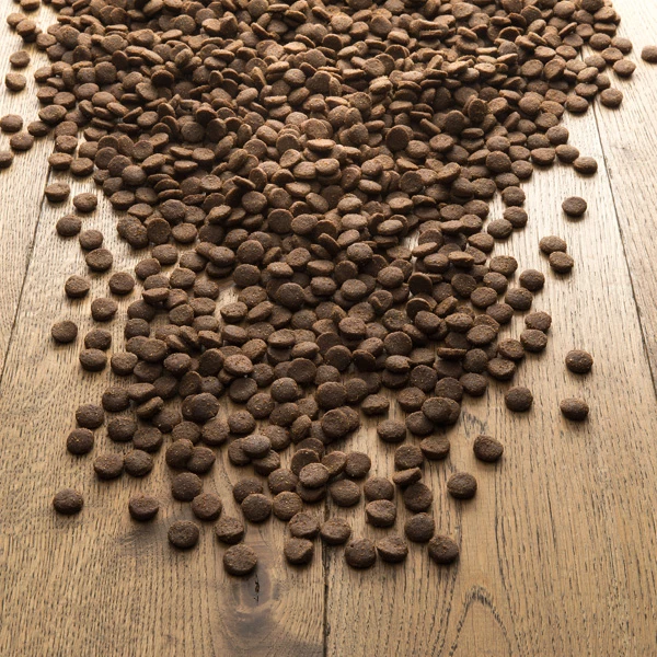 Isegrim® GREEN HILLS Ente Mit Beeren & Wildkräutern - Image 3