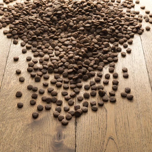 Isegrim® STEPPE Lamm Mit Beeren & Wildkräutern - Image 3